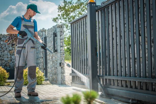 Best Graffiti Removal  in Willis, TX