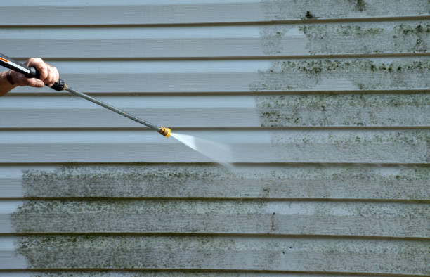 Best House Exterior Washing  in Willis, TX